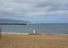 c Honolulu (12)
